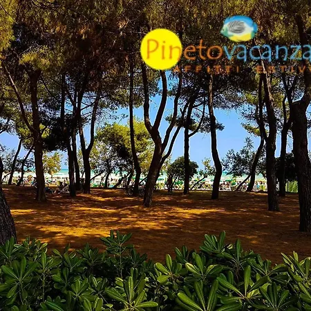 Claudia Int. M - Apartment Pineto