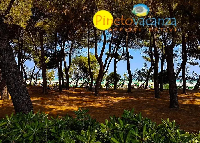 Claudia Int. M - アパート ピネート